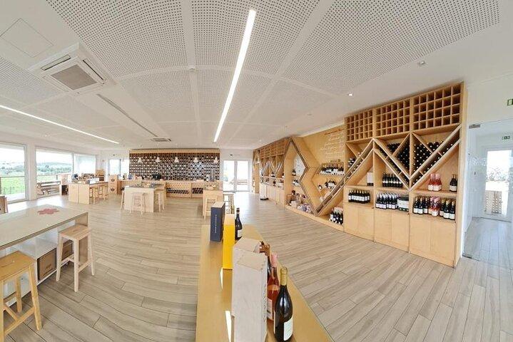 Évora, Private Tour with Wine Tasting and Lots of History