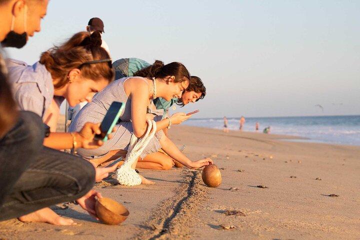 Baby Turtle Release Tour + Pick up + Courtesy in Puerto Escondido!