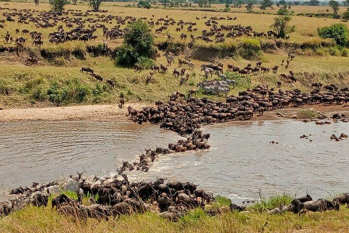 3 Day 4x4 Jeep Tour in Masai Mara Safari
