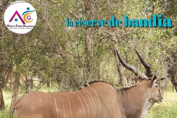 safari at the bandia reserve