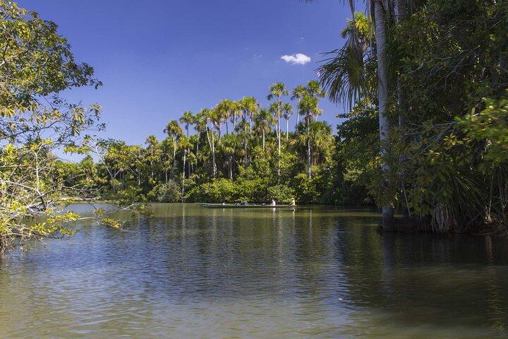 3 Day Tambopata National Reserve Tour with Local Guide & Wildlife