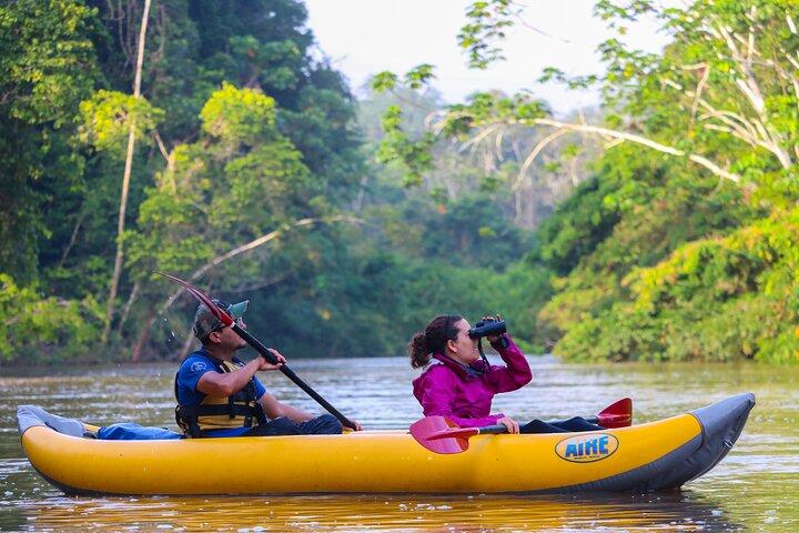 4 Day Tambopata Jungle Tour with Local Guide