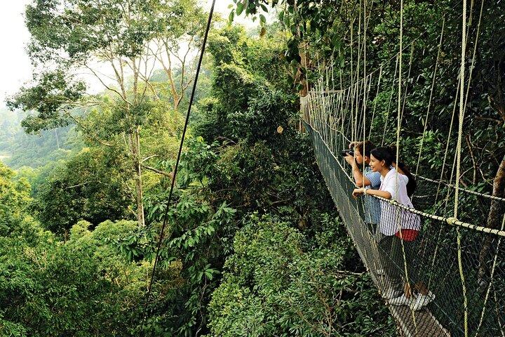 4 Day Tambopata Jungle Tour with Local Guide