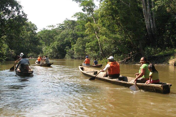 2 Day Tambopata Jungle Express Tour