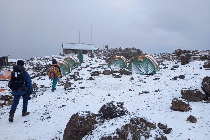 Kilimanjaro Northern Circult