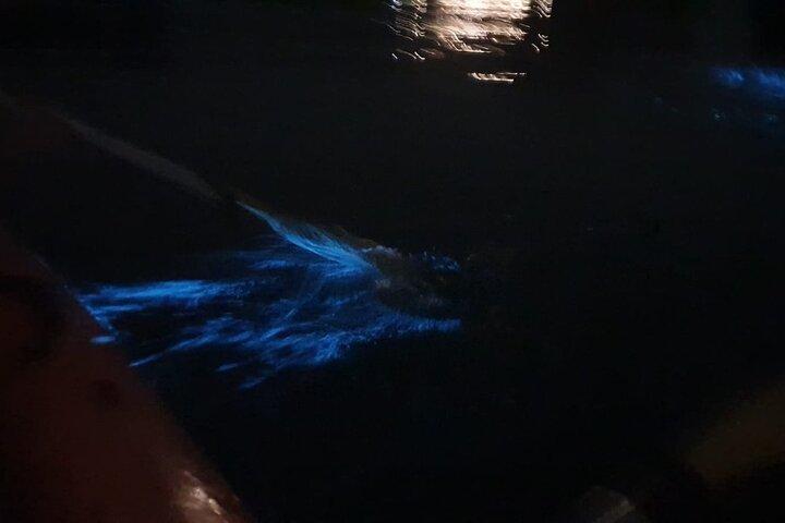 2 Days 1 Night Lan Ha Bay Adventure
