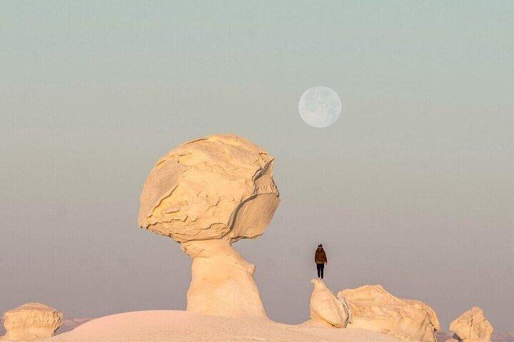 Bahariya Oasis and Fayoum Oasis Tour for 3 Days with 2 Nights