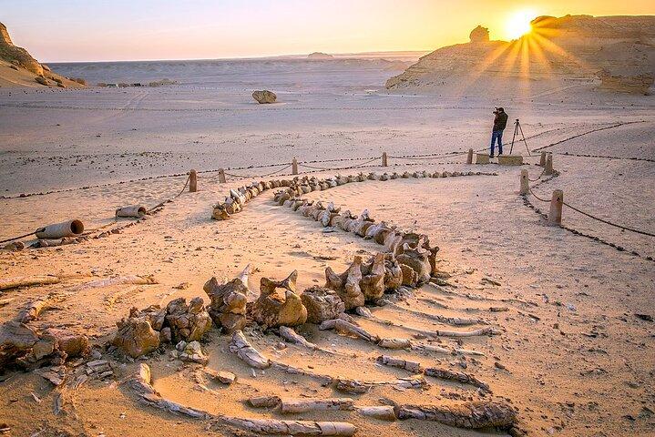 Bahariya Oasis and Fayoum Oasis Tour for 3 Days with 2 Nights