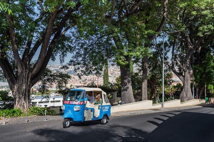 Full Day Madeira Island Private Discovery by Tuk Tuk