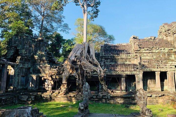 1 Day Private Tour Siem Reap and Banteay Srei