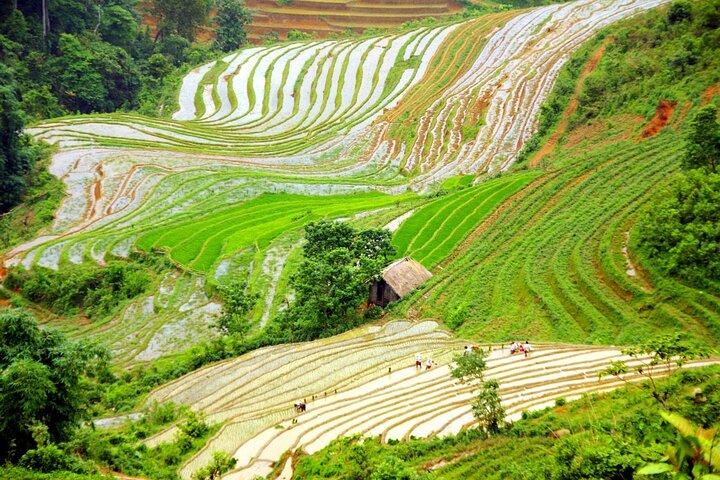 Sapa and Ha Giang Explore Luxury Tour 6 Days Full Options