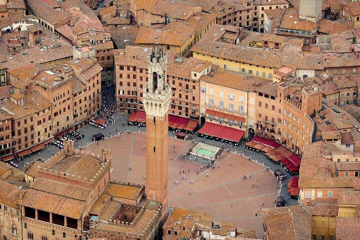 Chianti Wine Tasting & Siena Private Guided Tour from Florence