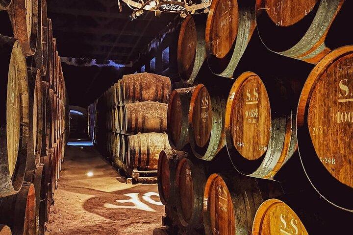 From Lisbon: Arrábida & Sesimbra Private Day Trip – Wine & Nature
