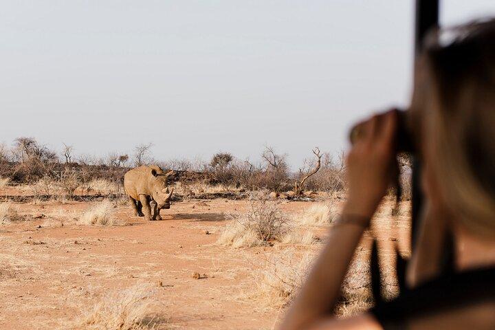 Full Day Pilanesberg Safari Adventure