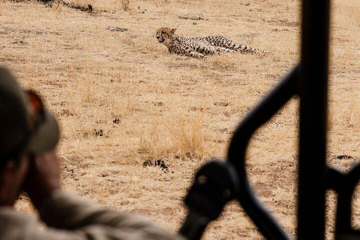 Full Day Pilanesberg Safari Adventure