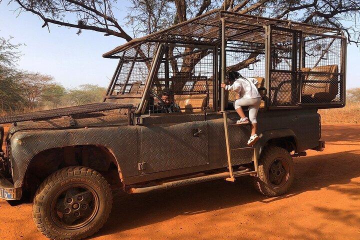 Safari in Bandia Reserve, and Visit the lion in Bandia Ranch