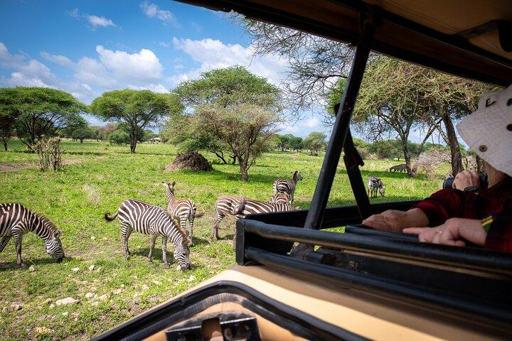 Tarangire Joint Tour(Free Accommodation before safari)