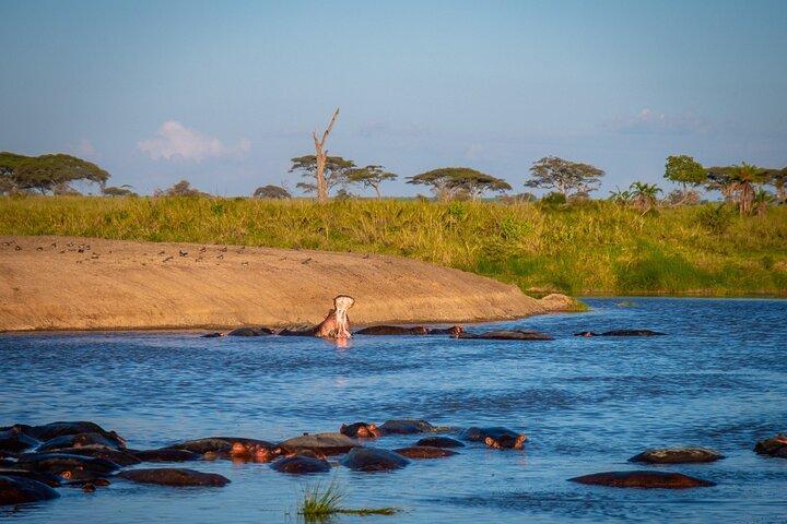 3 Days Group Safari Serengeti & Ngorongoro