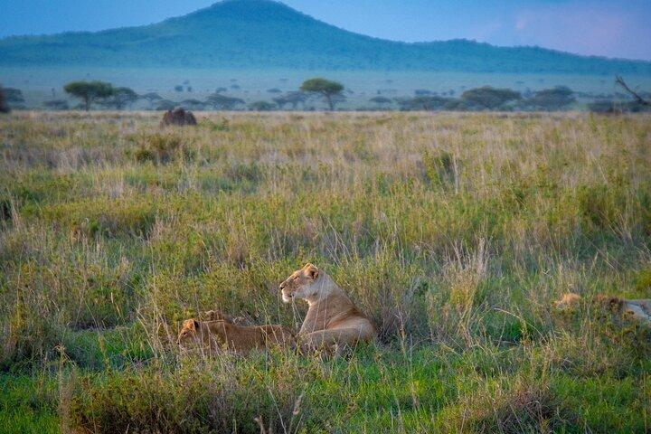 3 Days Group Safari Serengeti & Ngorongoro