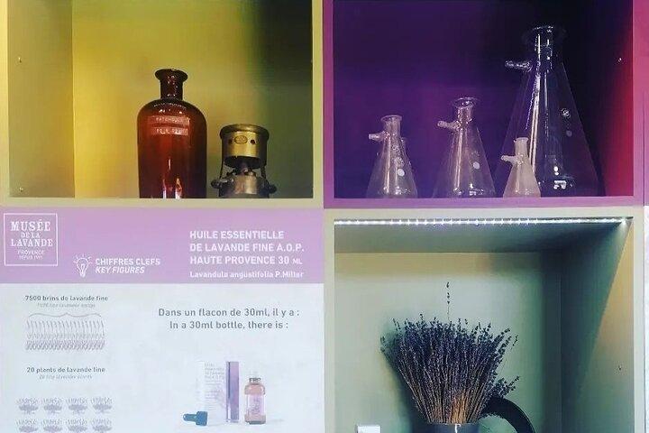 Full day Lavender tour from Avignon