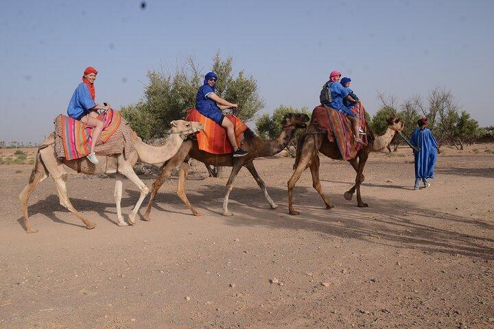Marrakech: 2-Hour Quad Ride + 20-Min Camel Ride With Transfer