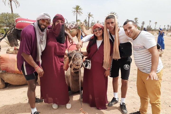 1 Hour Camel Ride Tour In Marrakech Palm Grove