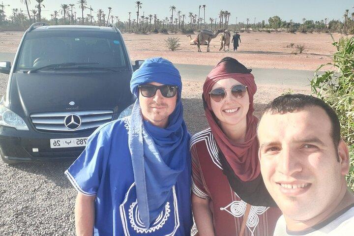 1 Hour Camel Ride Tour In Marrakech Palm Grove