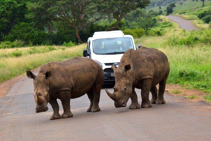 Hluhluwe Imfolozi Safari Day Tour from Durban