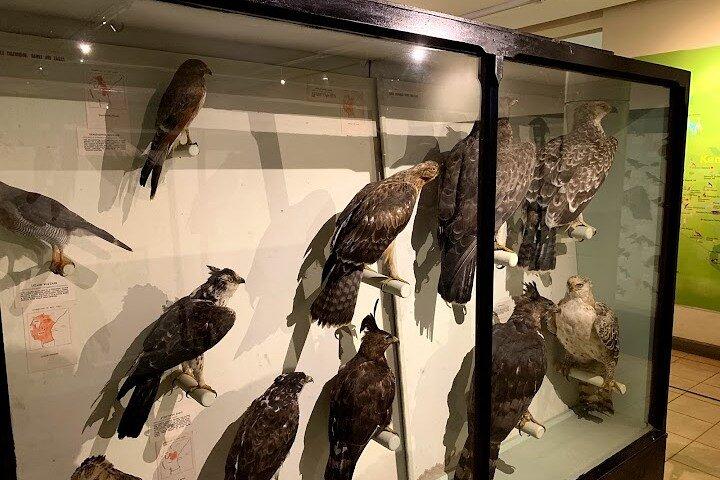 Private Museum Tours in Nairobi Kenya