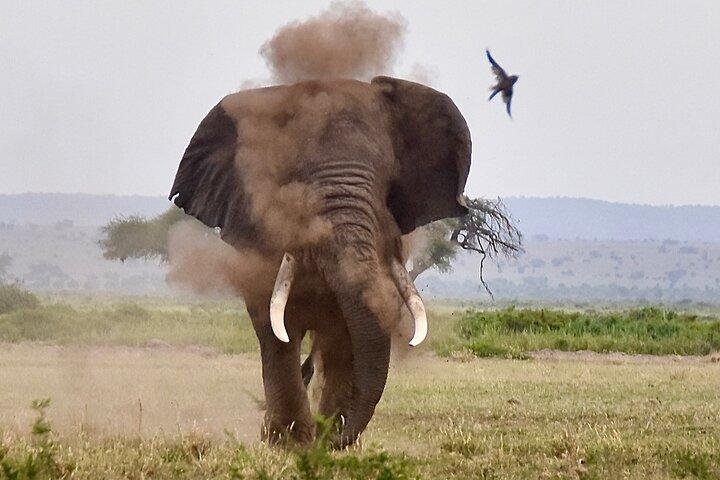 3 Days Masai Mara Luxury Safari