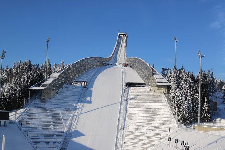 Oslo City Highlights with Fjord Cruise