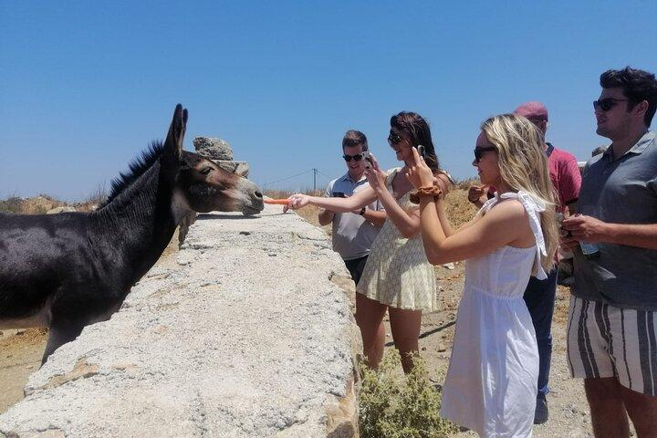Small-Group Half-Day Tour in Mykonos