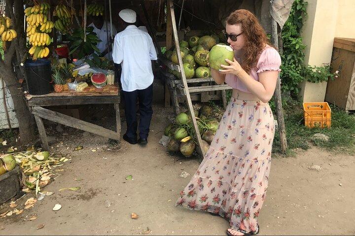 Private and Customize Highlight Tour to Montego Bay from Falmouth