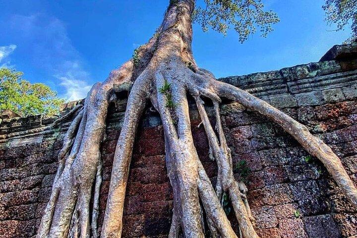 Full Day Angkor Discovery Tour