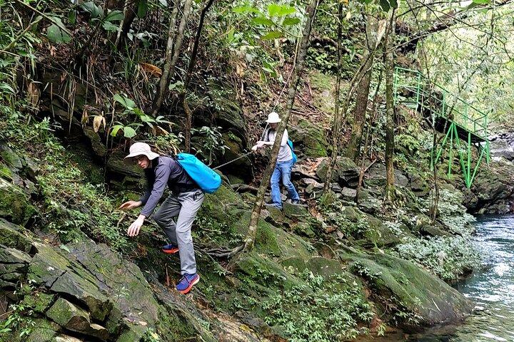 Bach Ma National Park trekking daily tour from Da Nang, Hoi An