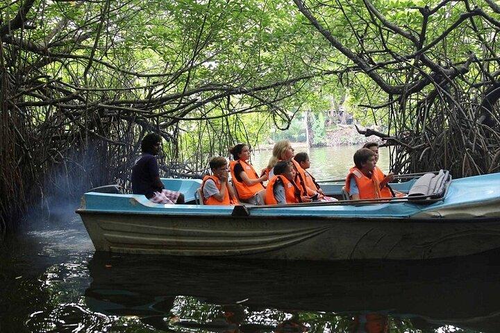 All inclusive Galle Tour and River Boat Safari from Colombo