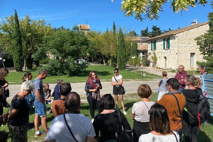 Guided tour Distillery of Lavender between Nîmes & Arles