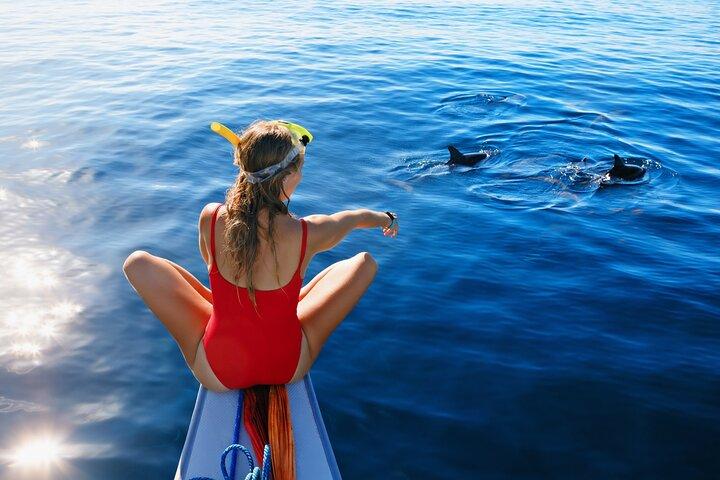 Boat tour Cinque Terre and Gulf of Poets from La Spezia