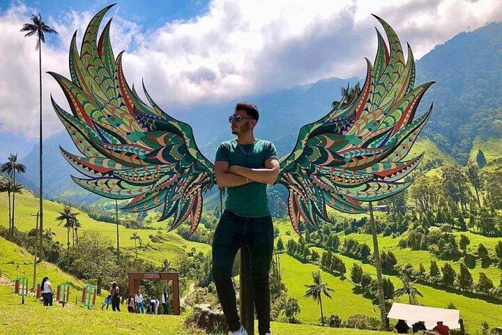Salento, Cocora and Filandia Private Tour from Pereira or Armenia
