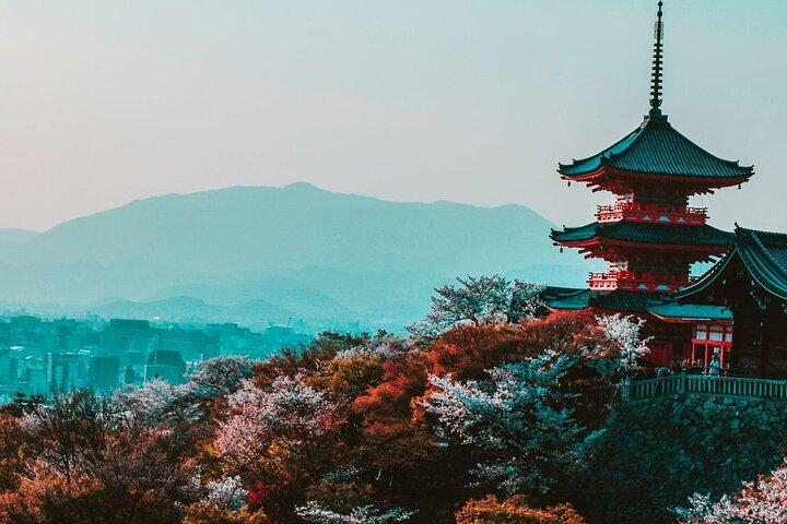 Kyoto Custom Private Walking Tour with A Guide (Private Tour)
