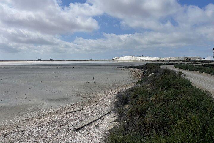 Day in Camargue Aigues-Mortes and St Marie de la mer