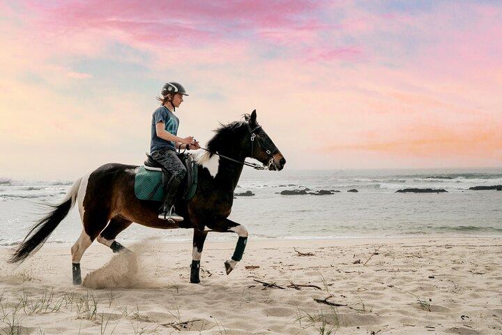 Viana do Castelo Horseback Riding Tour