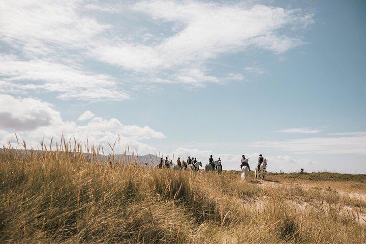 Viana do Castelo Horseback Riding Tour