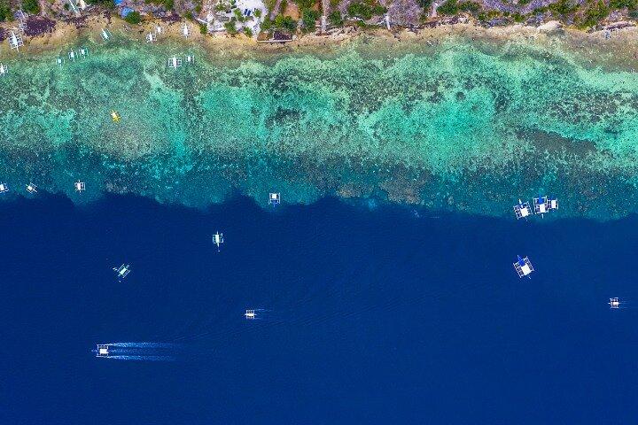 Moalboal Sardines Run Private Tour w/ Transfers Option