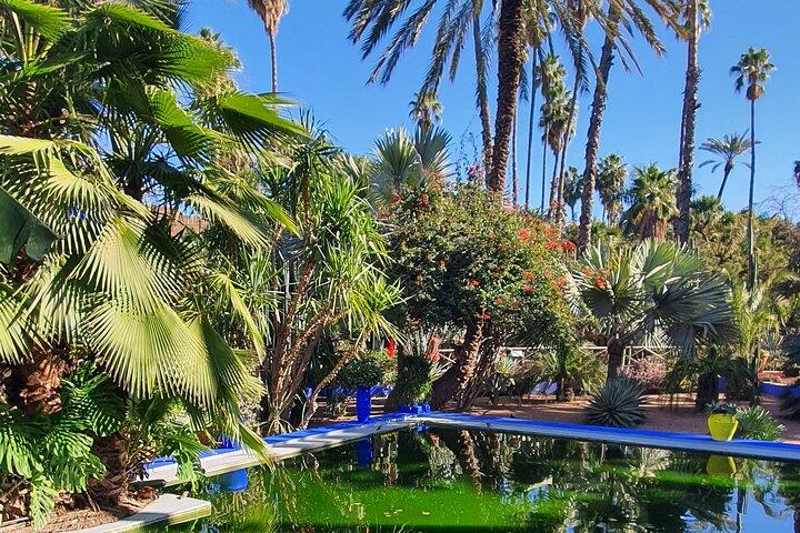 Private Walking Tour in Marrakech