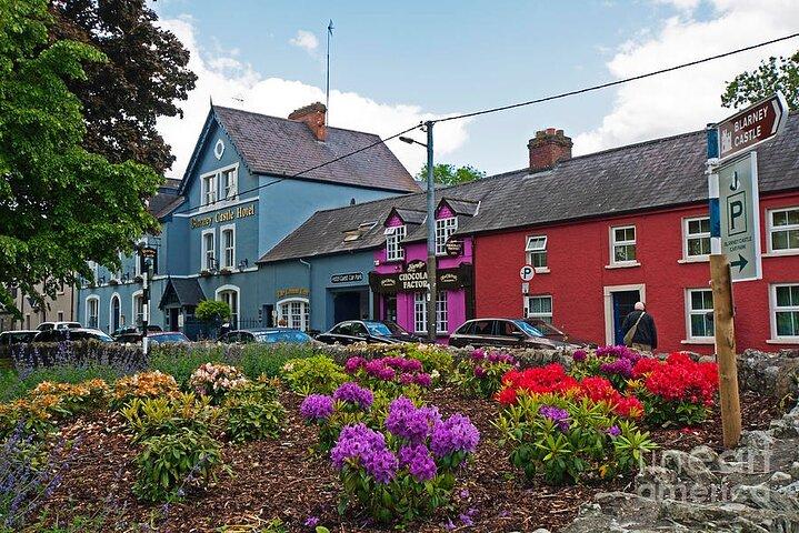 Easy Access Blarney Stone and Castle Gardens Tour
