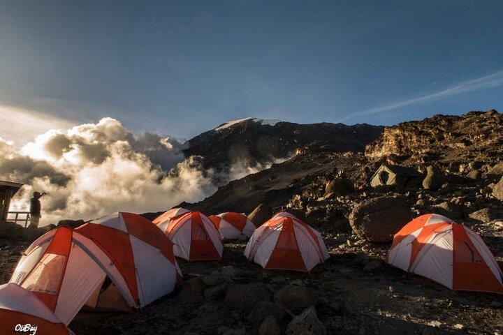 8 Days Mt Kilimanjaro Climb - Lemosho Route