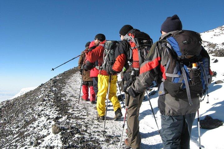 8 Days Mt Kilimanjaro Climb - Lemosho Route