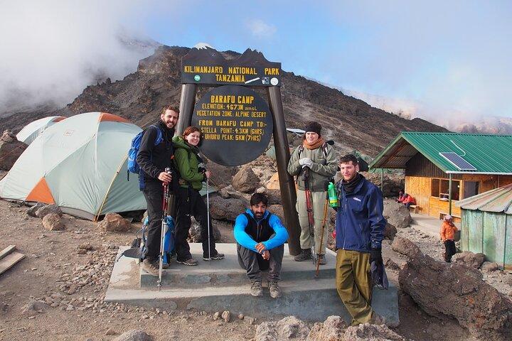 8 Days Mt Kilimanjaro Climb - Lemosho Route
