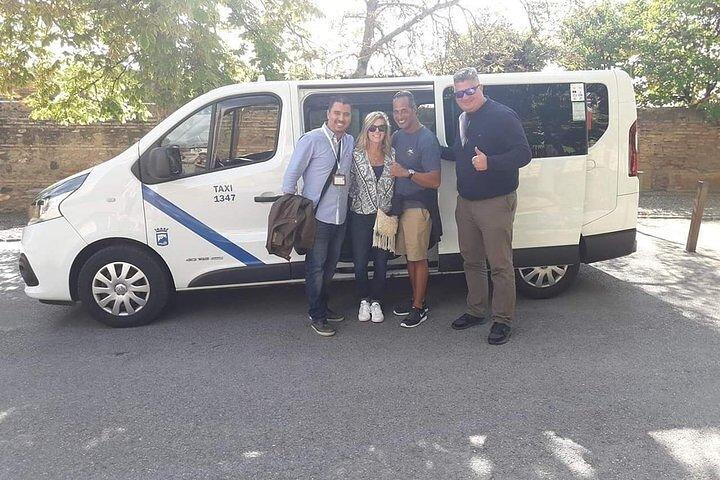 Alhambra, Nasrid Palaces and Generalife Private Tour from Malaga